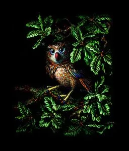 Owl in the Oak