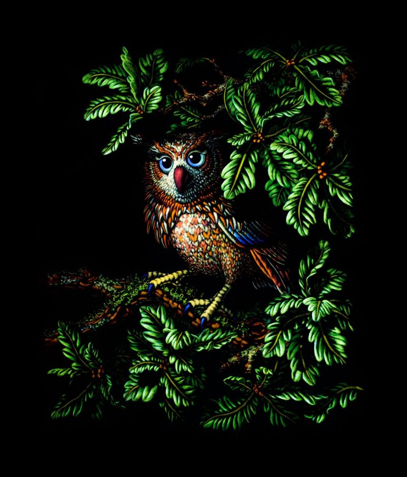 The Owl in the Oak